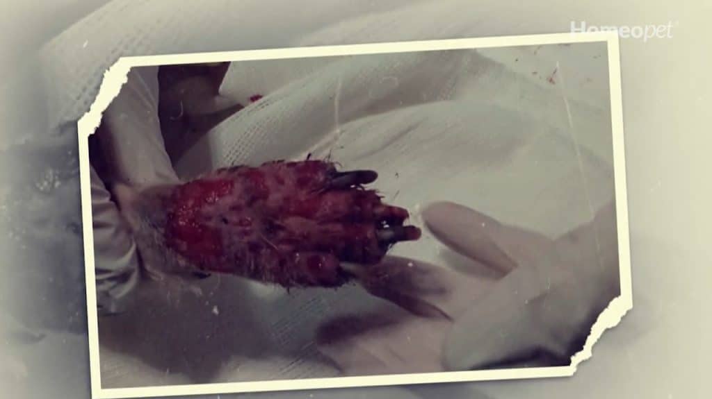 Paciente com lesões graves