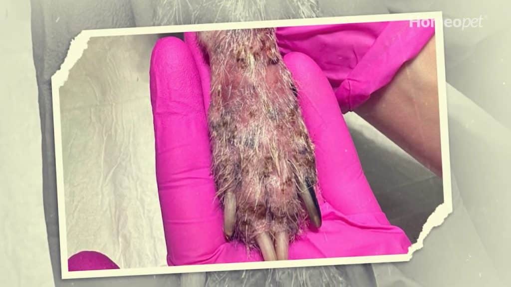 Resultado pás tratamento