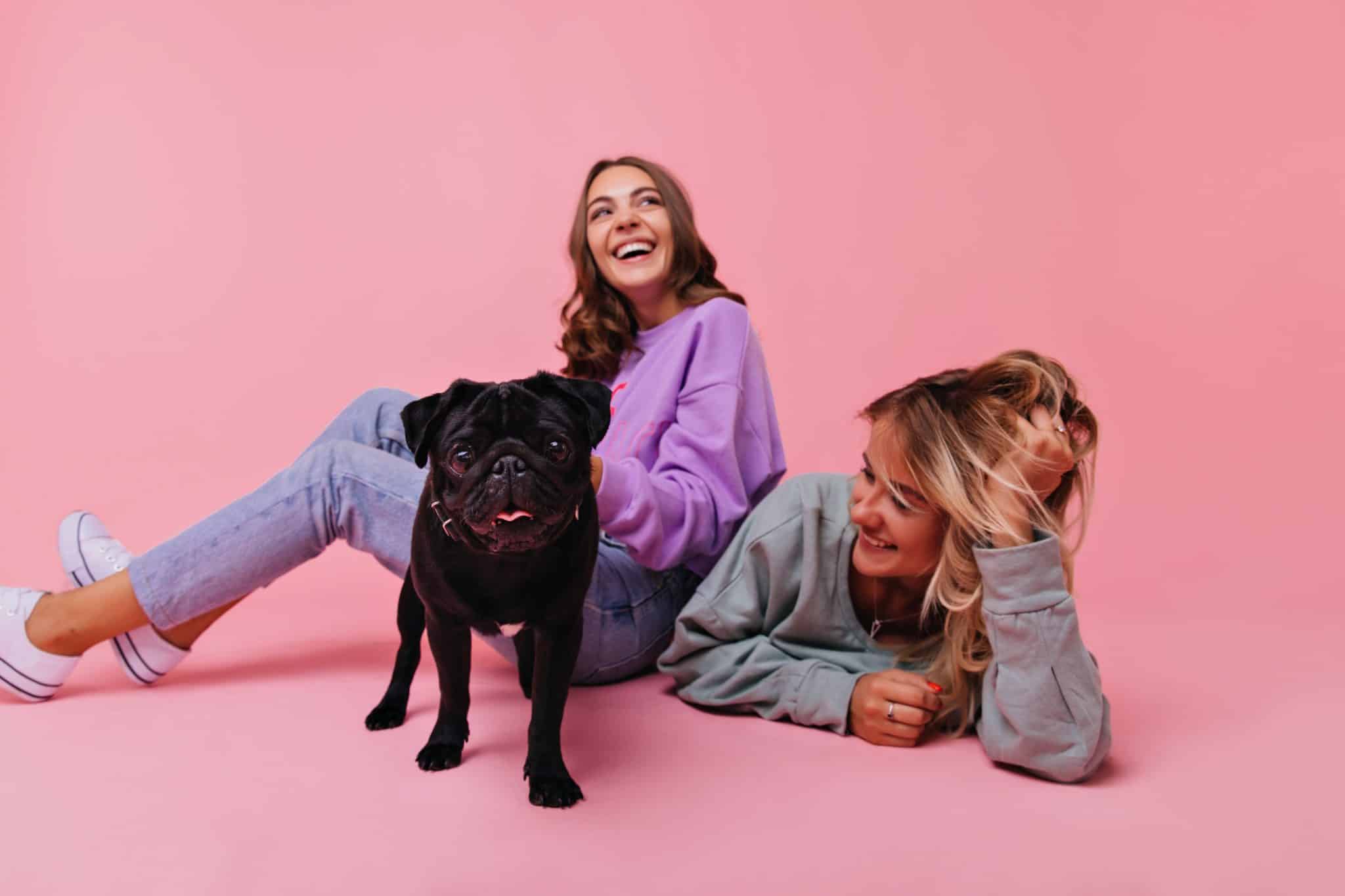 Capa de Comunicação Grupo Real